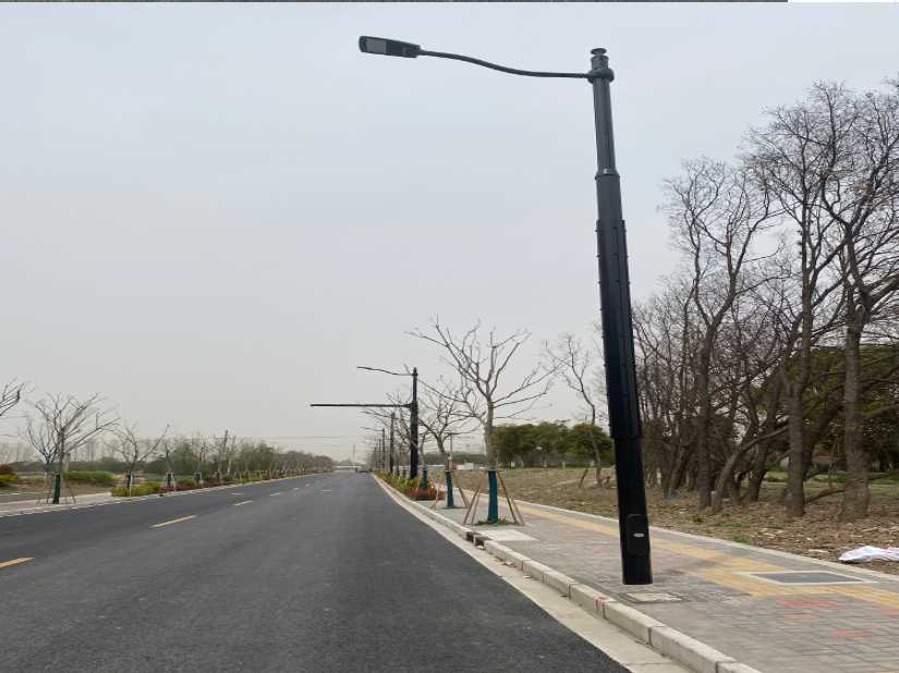 大武口区上海综合杆 太阳能路灯工程